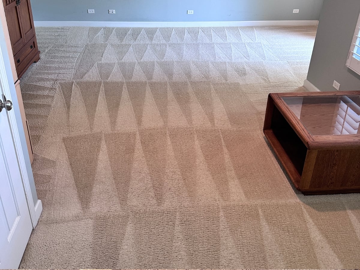 Aclean Steamers technician performing professional carpet cleaning in a Charlotte, NC home