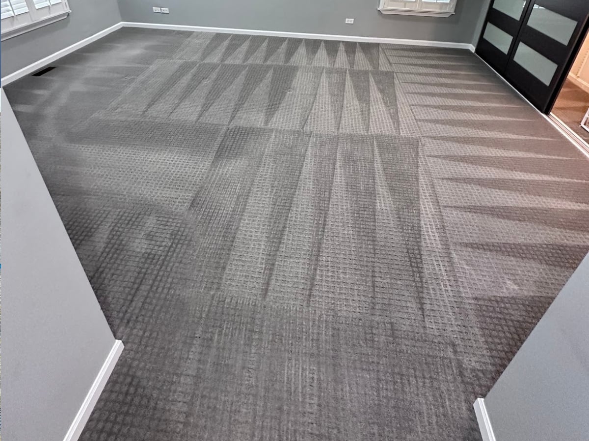 Professional carpet restoration in Raleigh, scalable to commercial properties