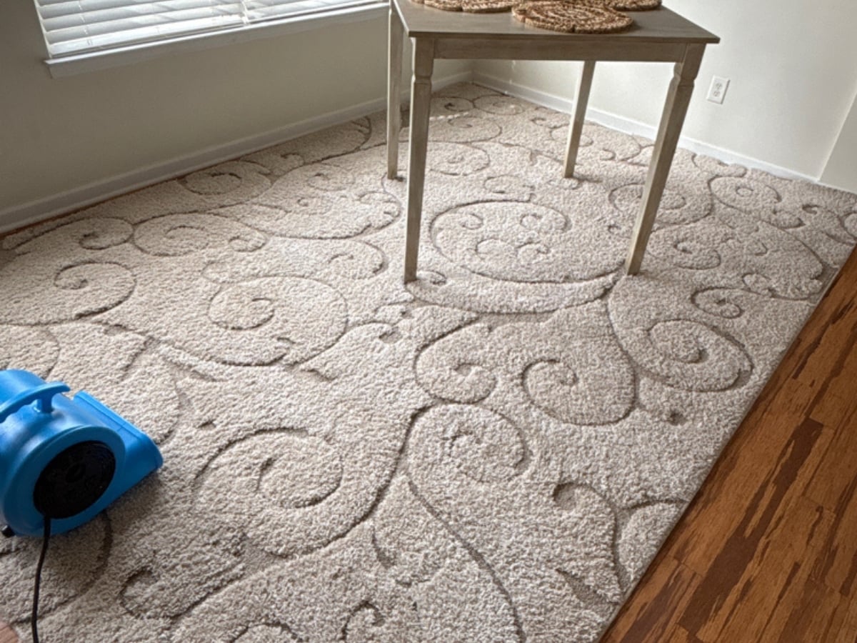 Rug cleaning in a Charlotte, NC home, silk rug delicate cleaning complete