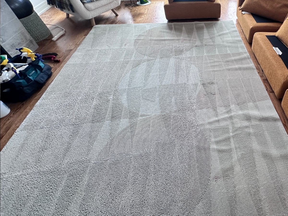 Rug cleaning in a Charlotte, NC home, entryway rug stain-free