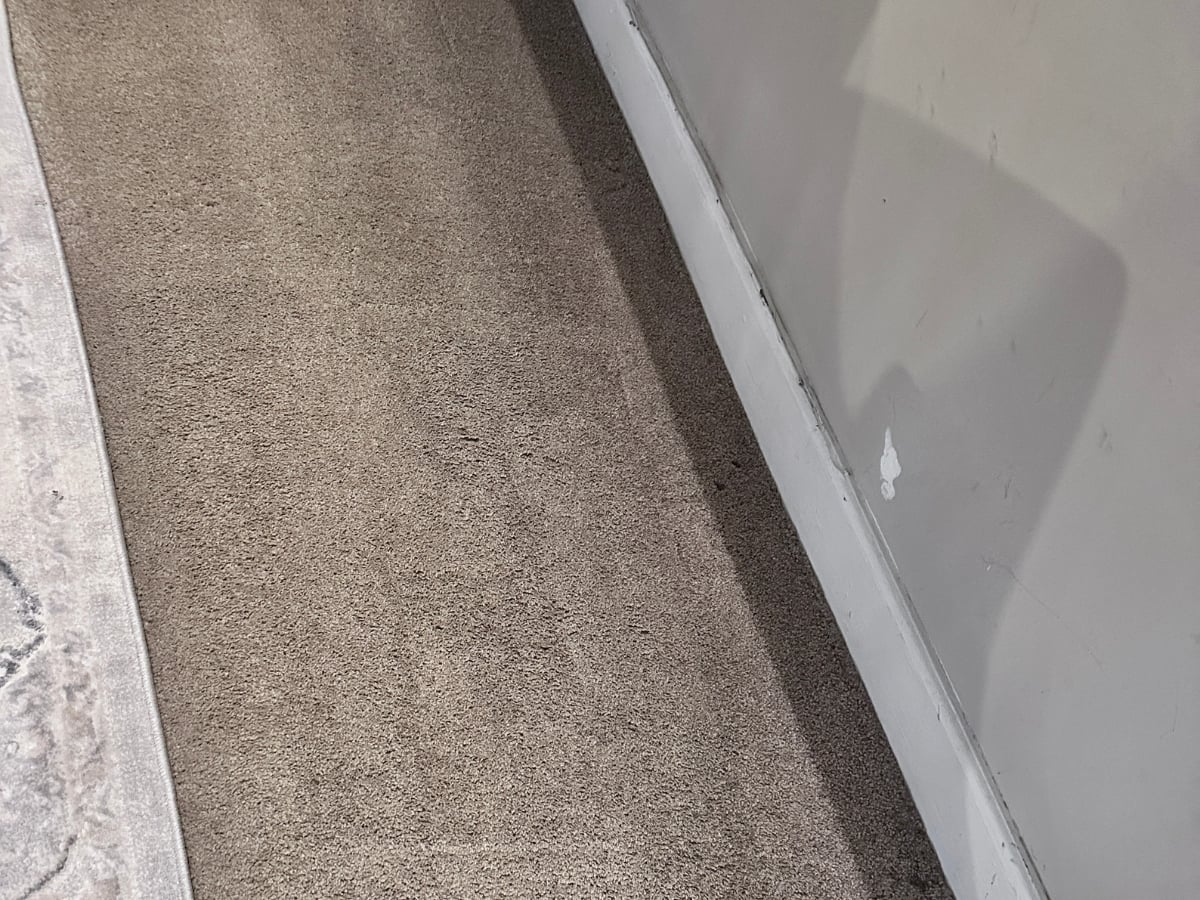 Odor source neutralized in a Raleigh home after Aclean Steamers deep extraction
