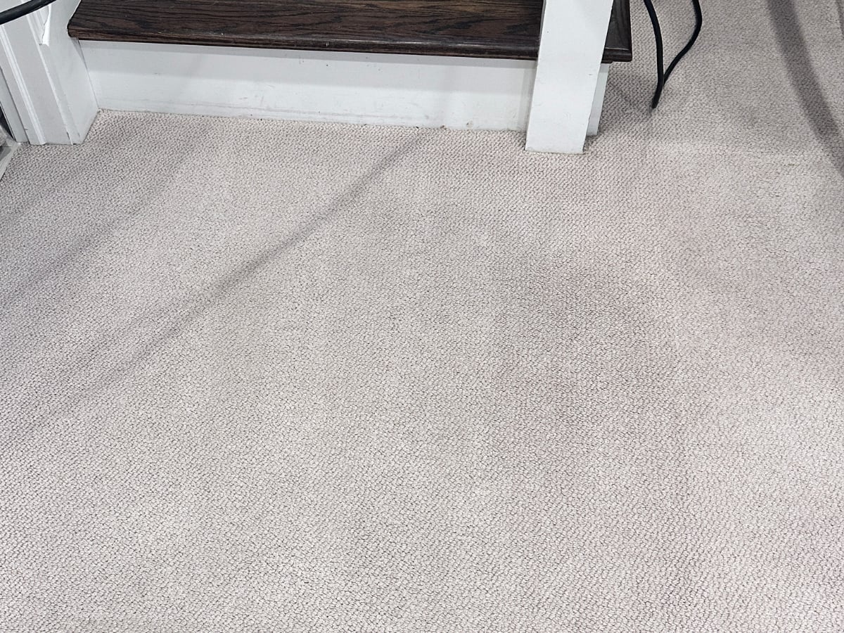 Tough stain lifted from a Raleigh residence after Aclean Steamers cleaning