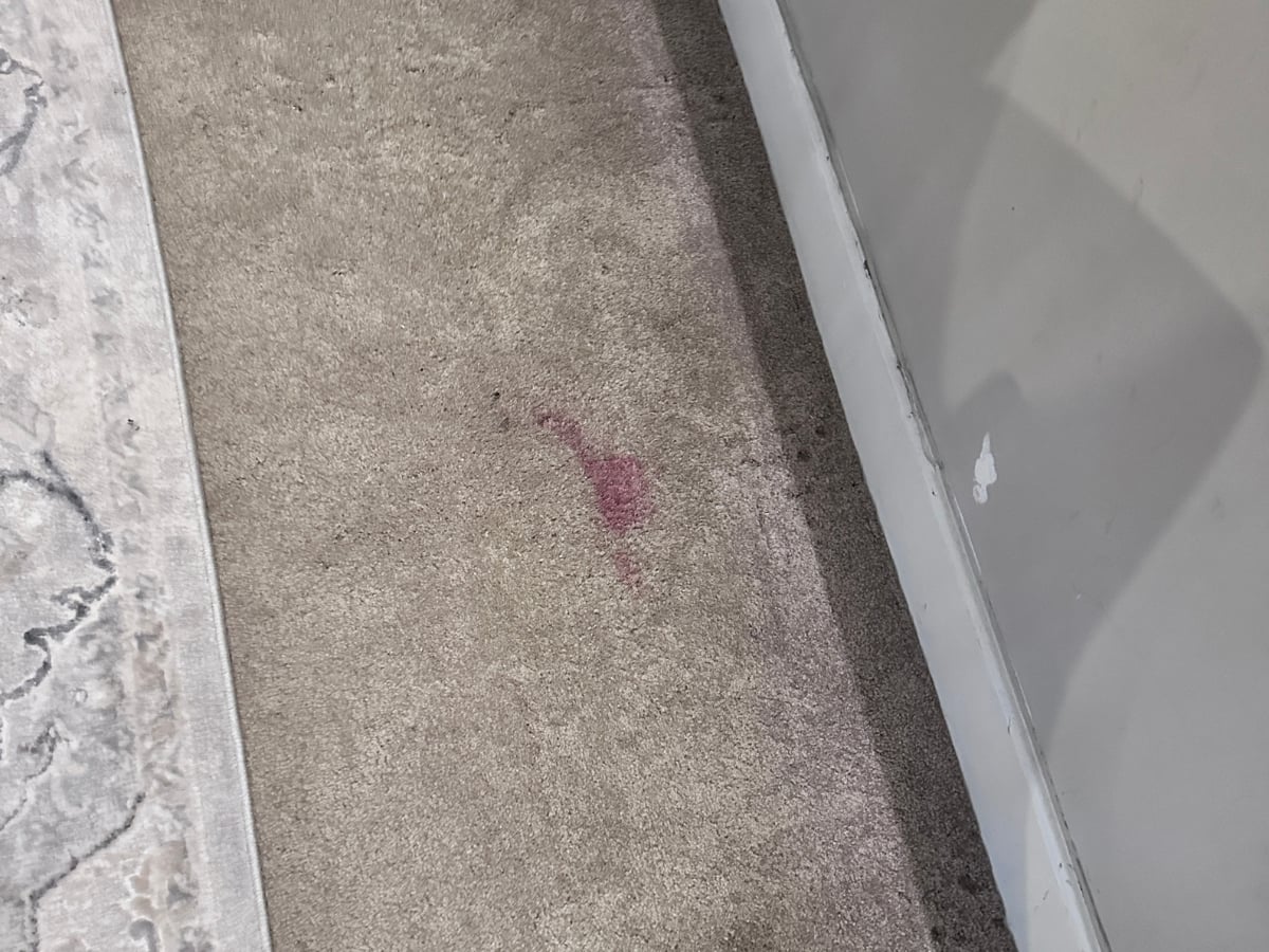 Odor source in a Raleigh, NC home before professional treatment by Aclean Steamers
