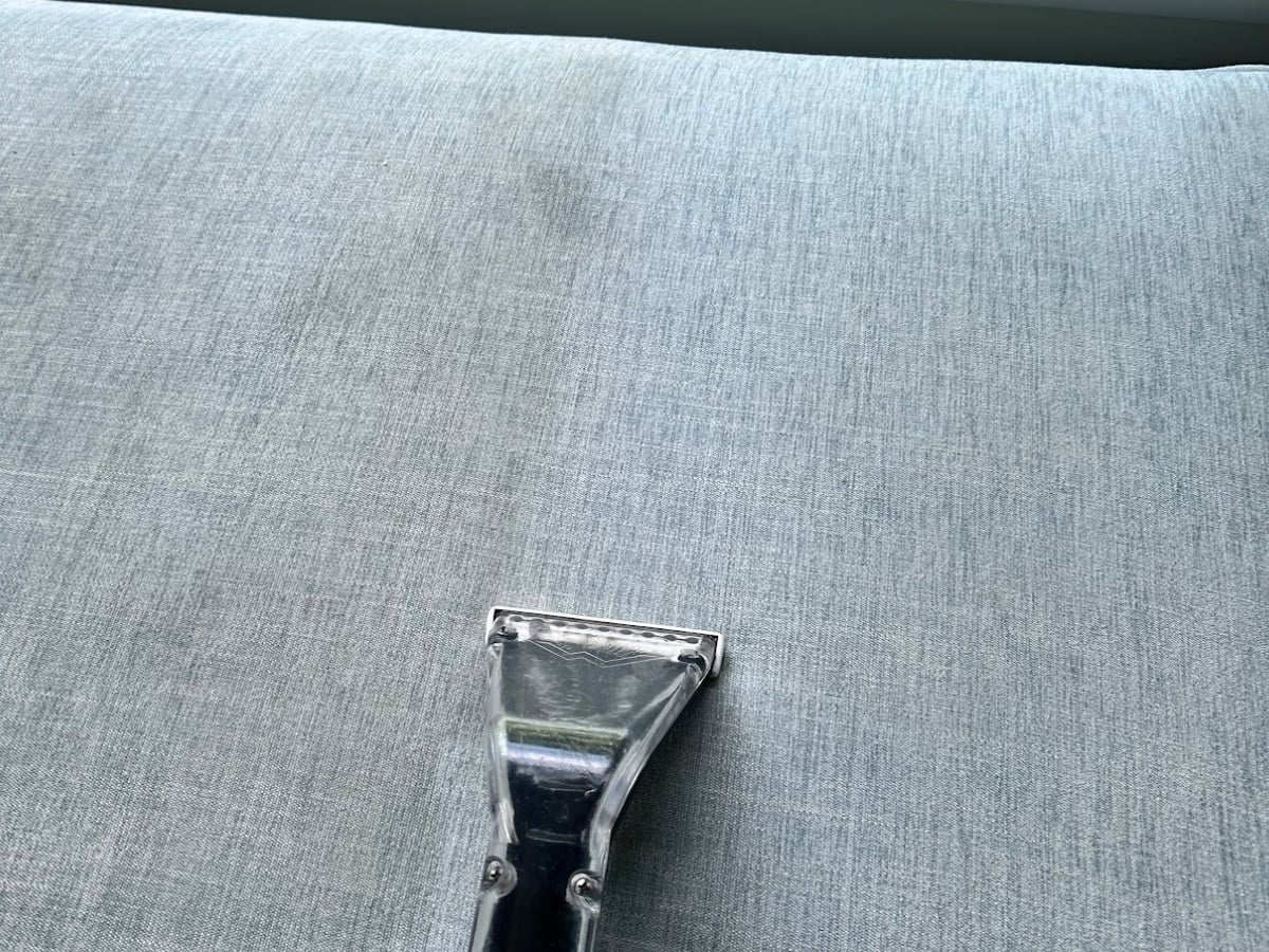 Stain and odor removal in a Raleigh, NC home, mildew remediation result
